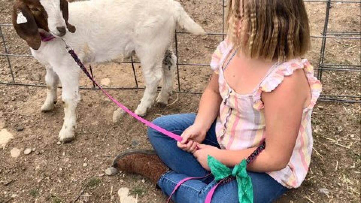 Girl didn t want goat slaughtered officials sent deputies Los